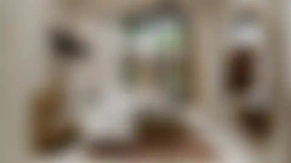 image for main block