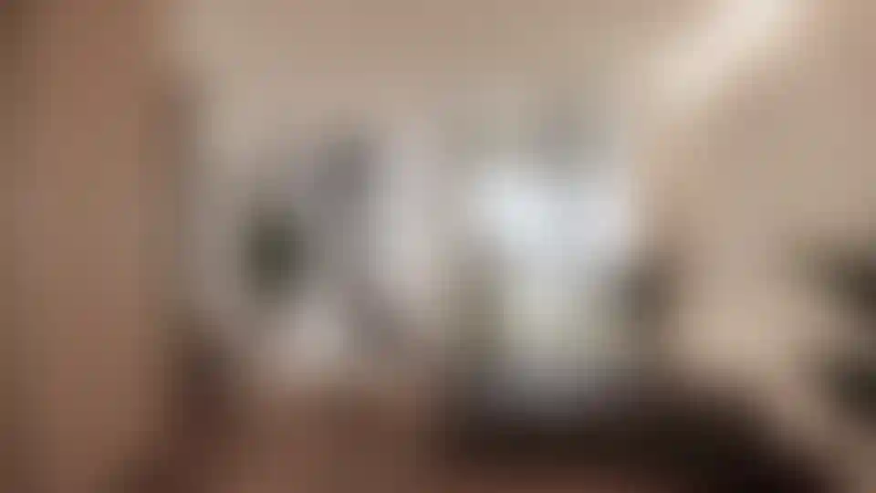 image for main block