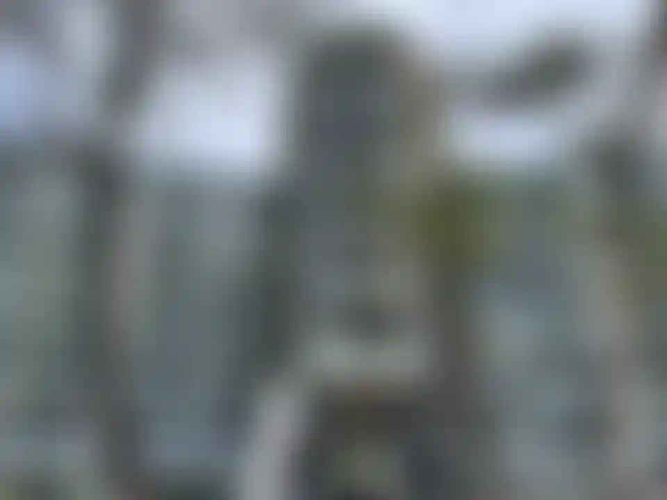 image for main block