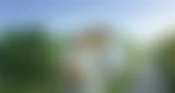 image for main block