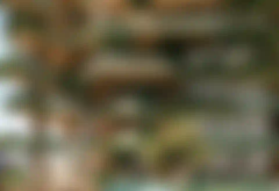 image for main block