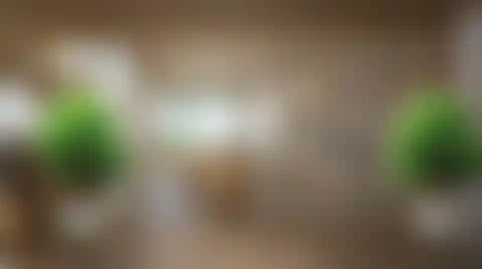 image for main block