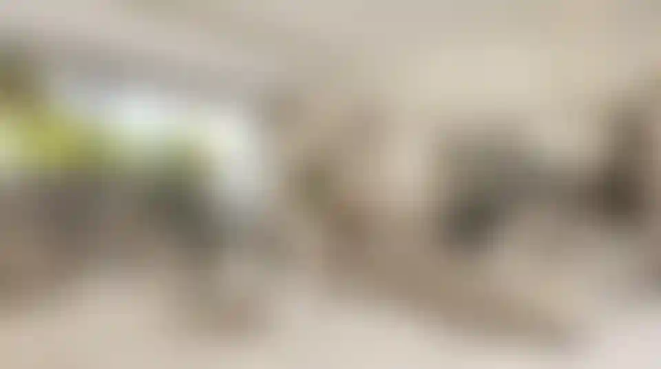 image for main block