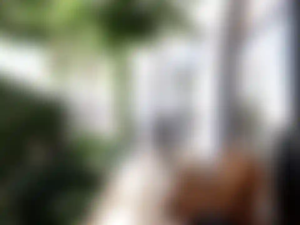 image for main block