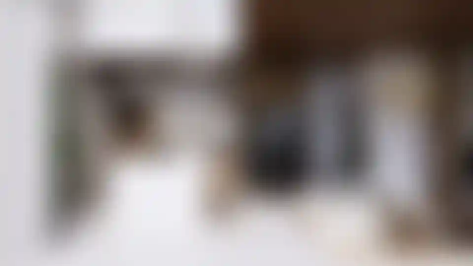 image for main block