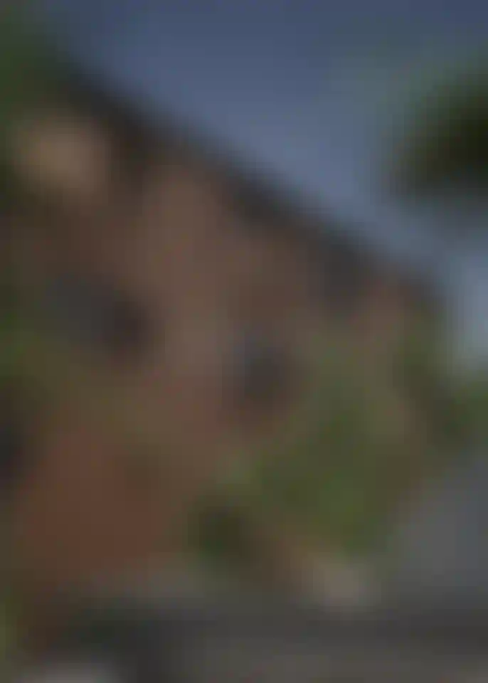 image for main block