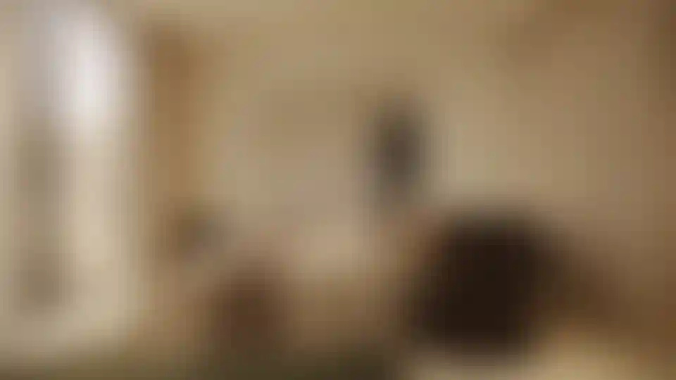 image for main block