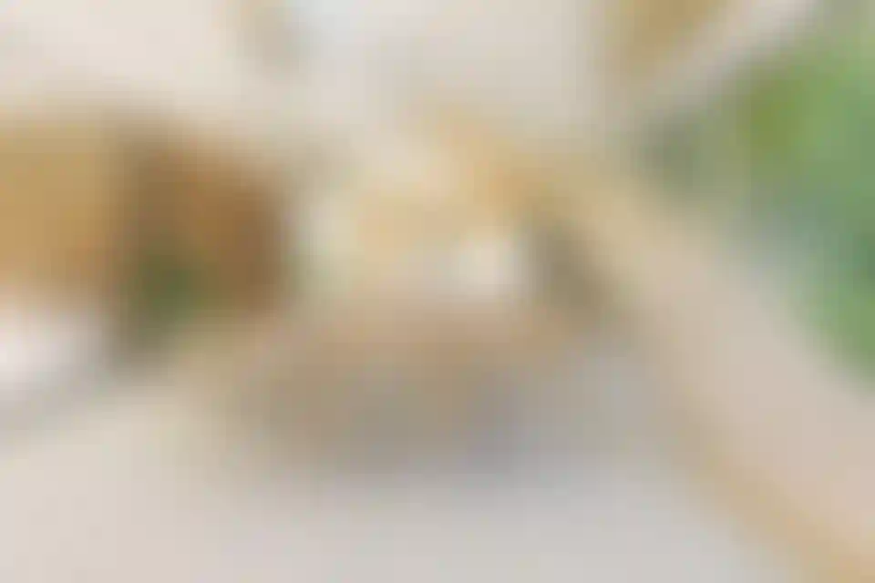 image for main block