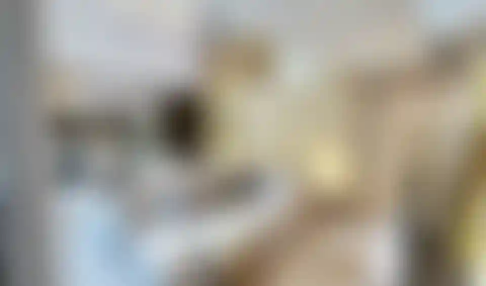 image for main block