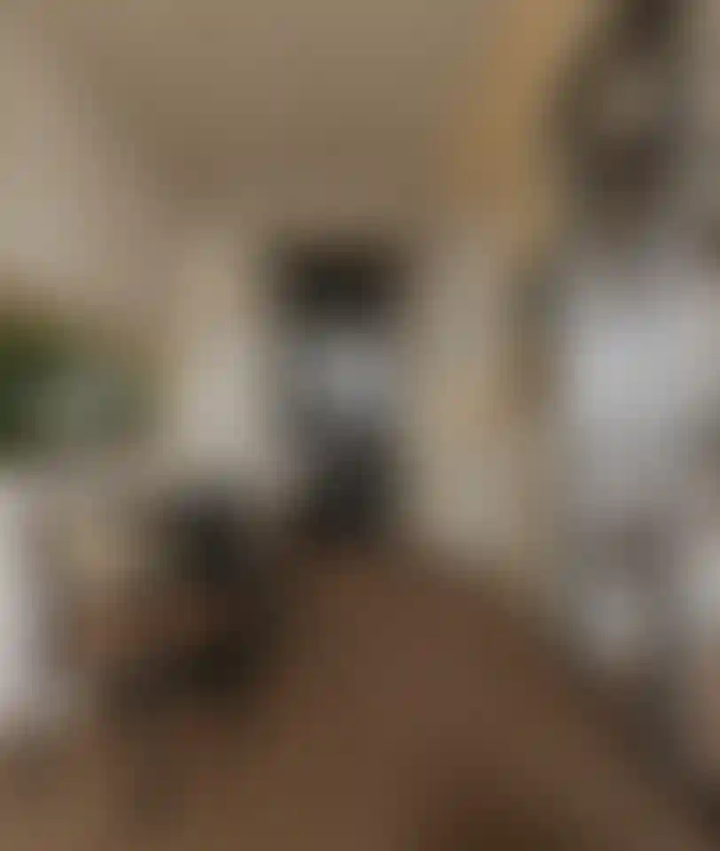 image for main block