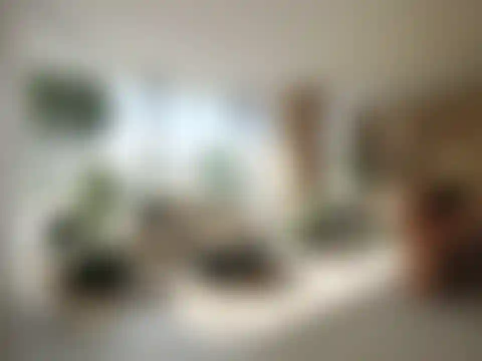 image for main block