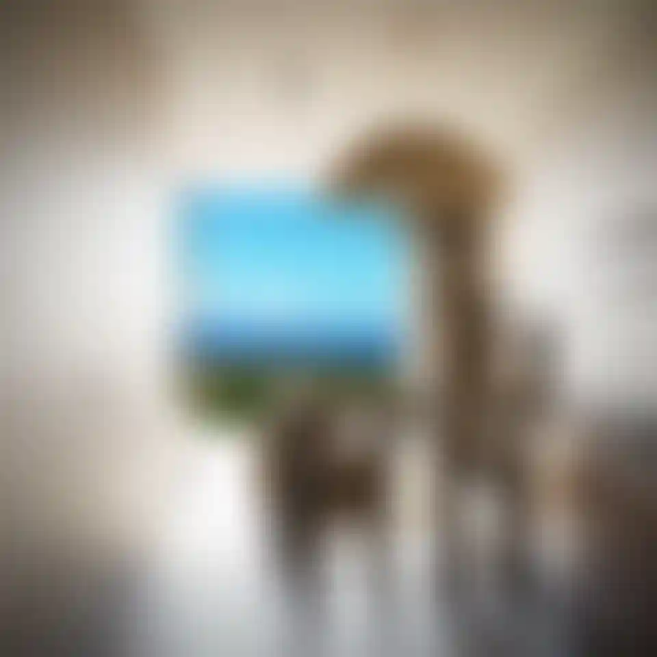 image for main block