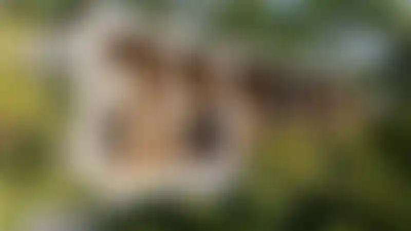 image for main block