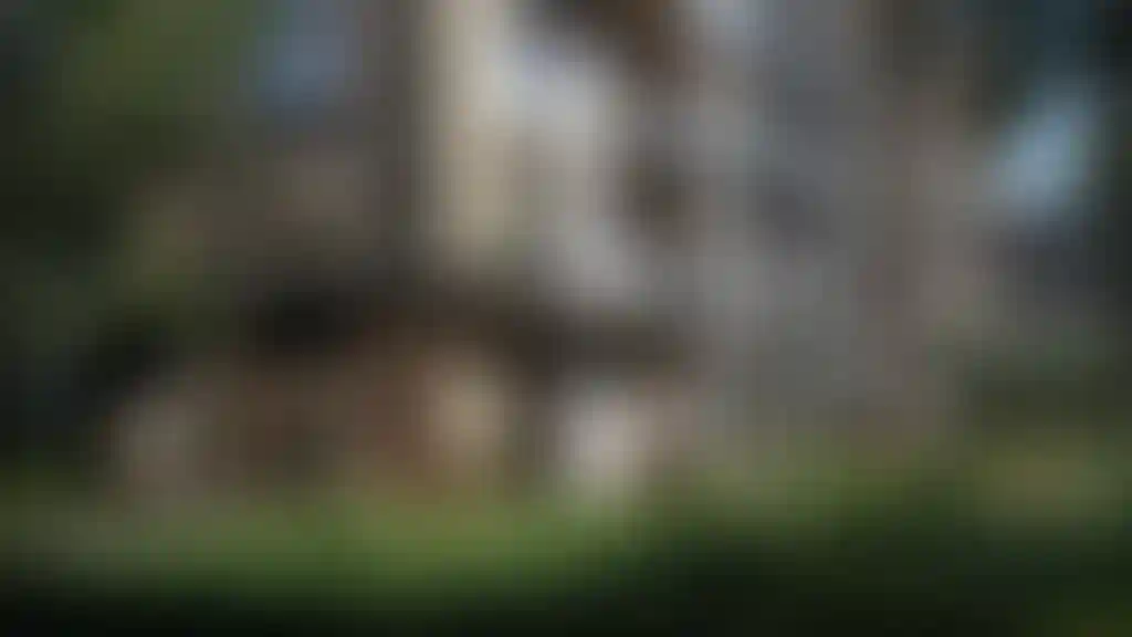 image for main block