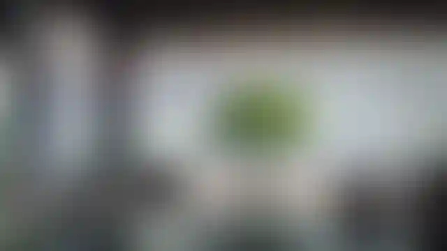 image for main block