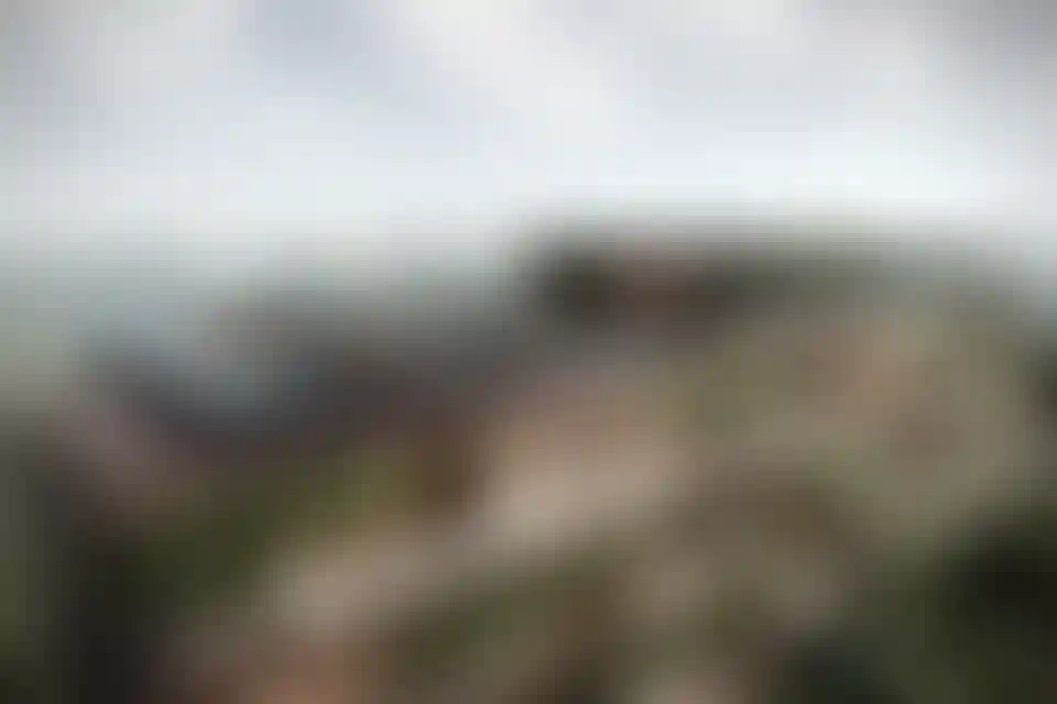 image for main block