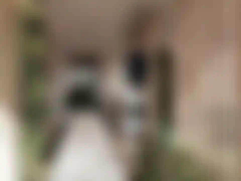 image for main block