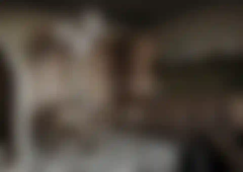 image for main block