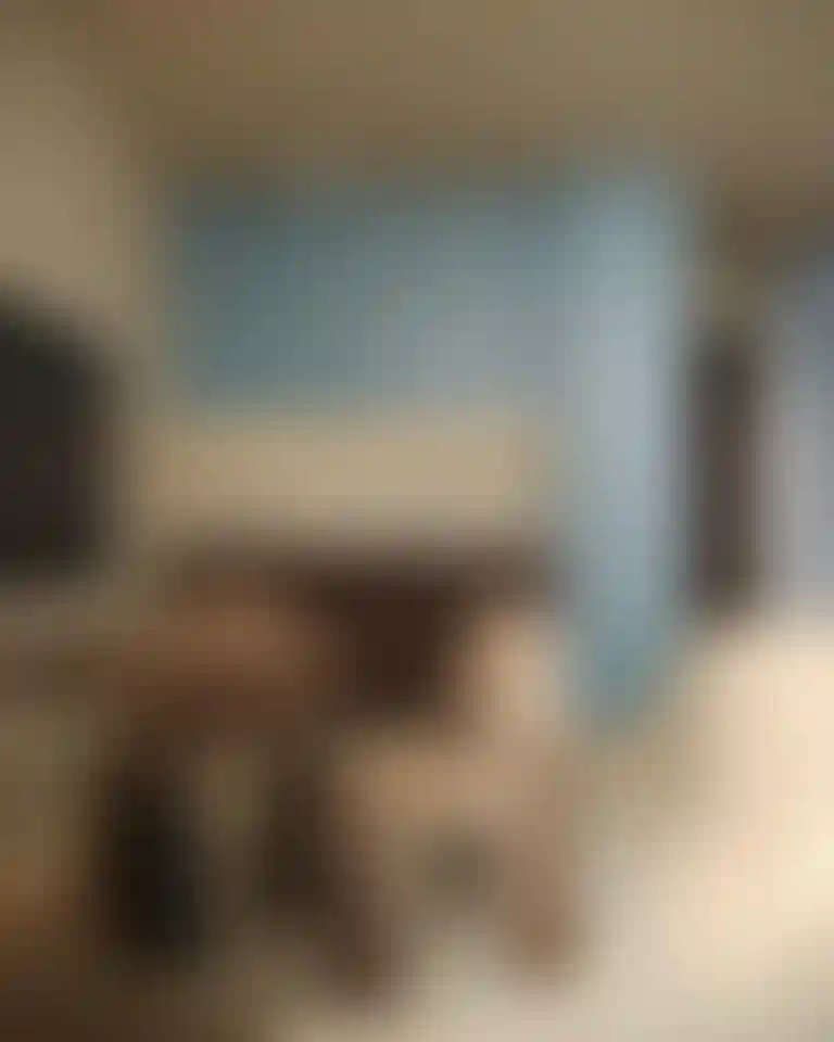 image for main block