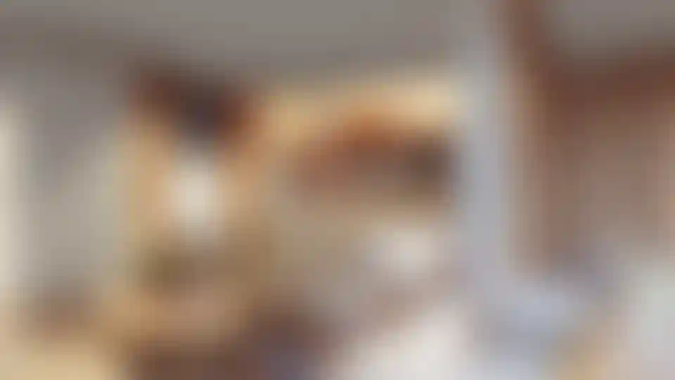 image for main block