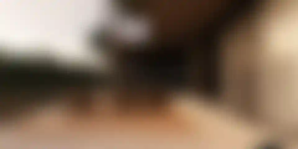 image for main block