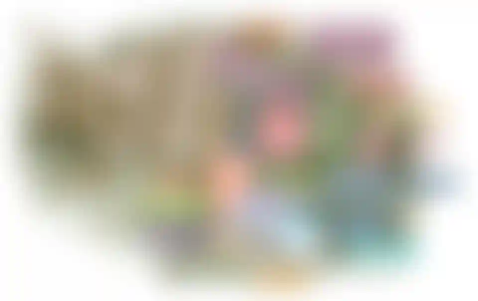 image for main block