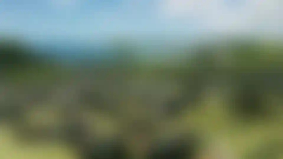 image for main block