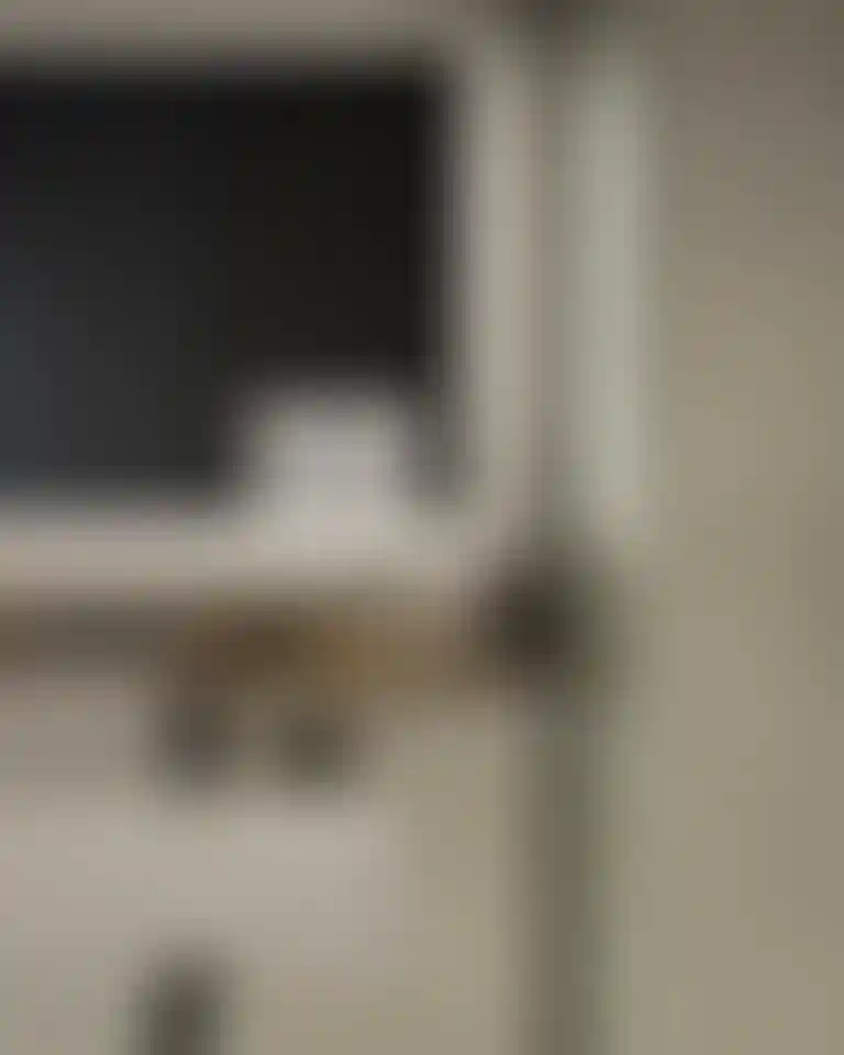 image for main block