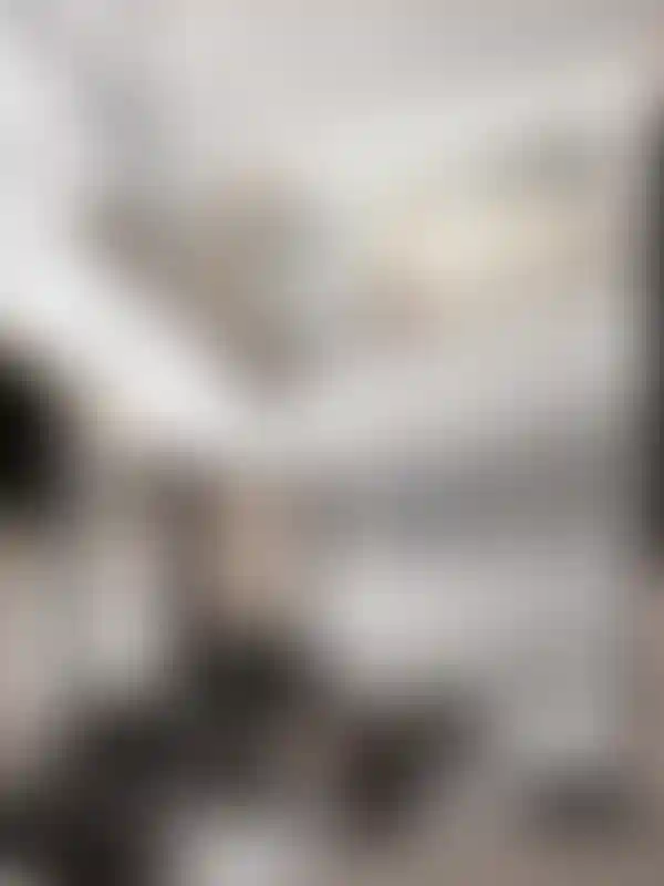 image for main block