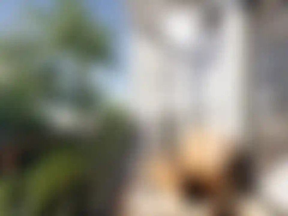 image for main block