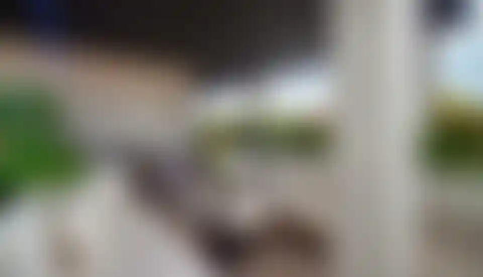 image for main block