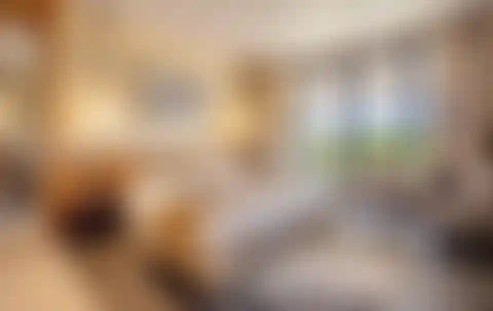 image for main block