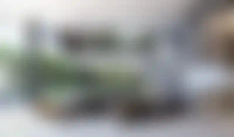 image for main block