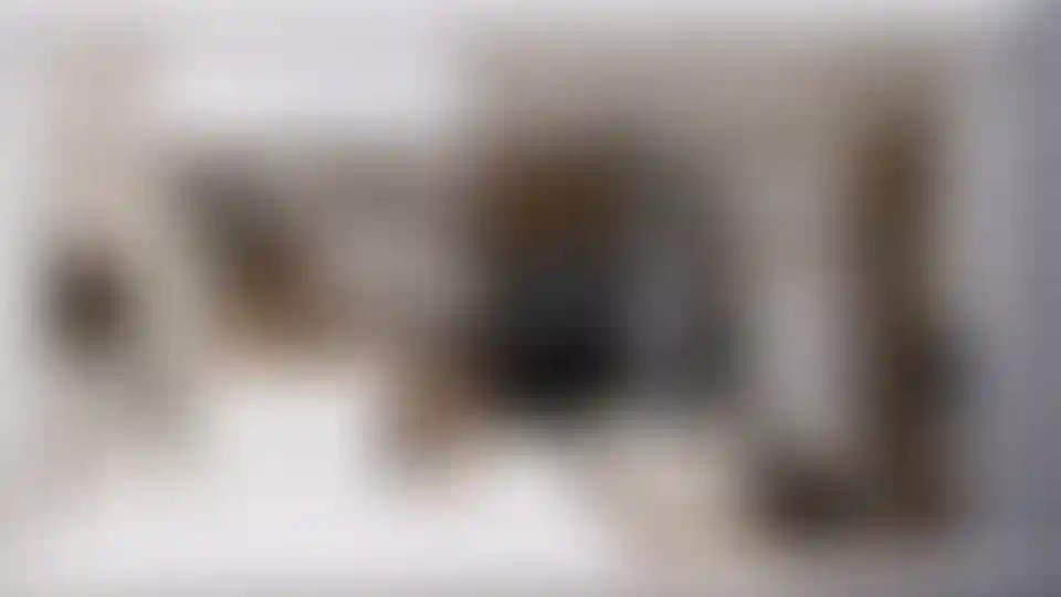 image for main block