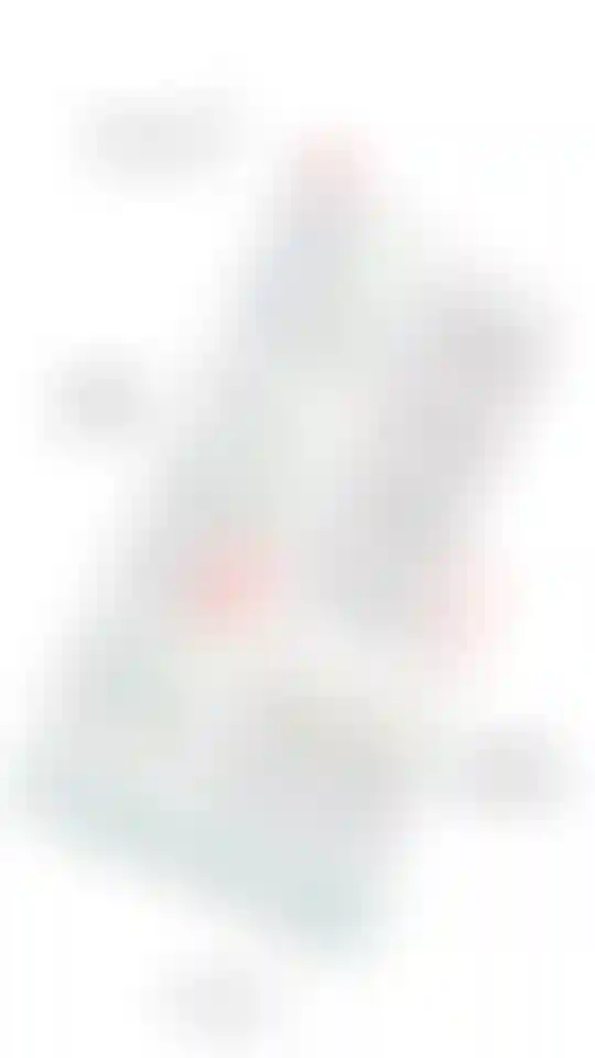 image for main block