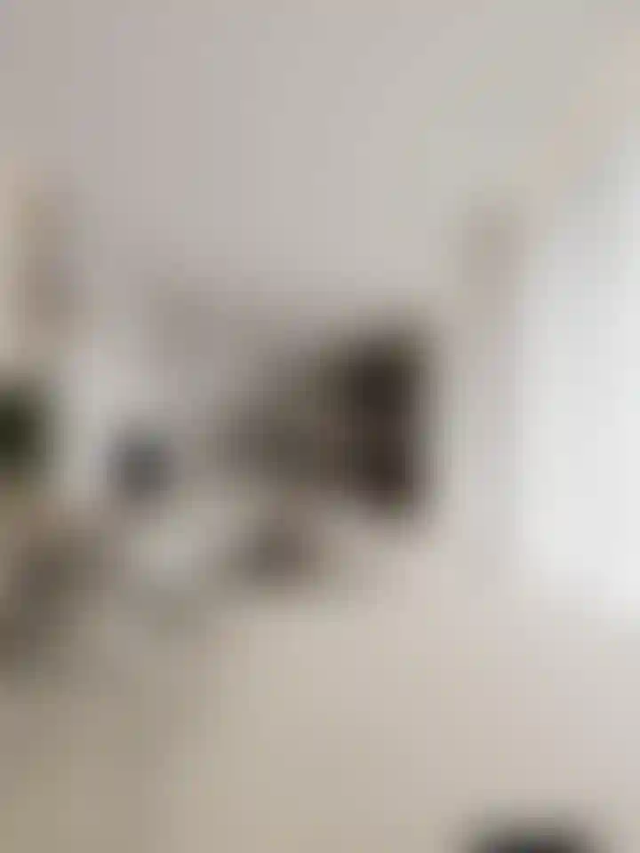 image for main block