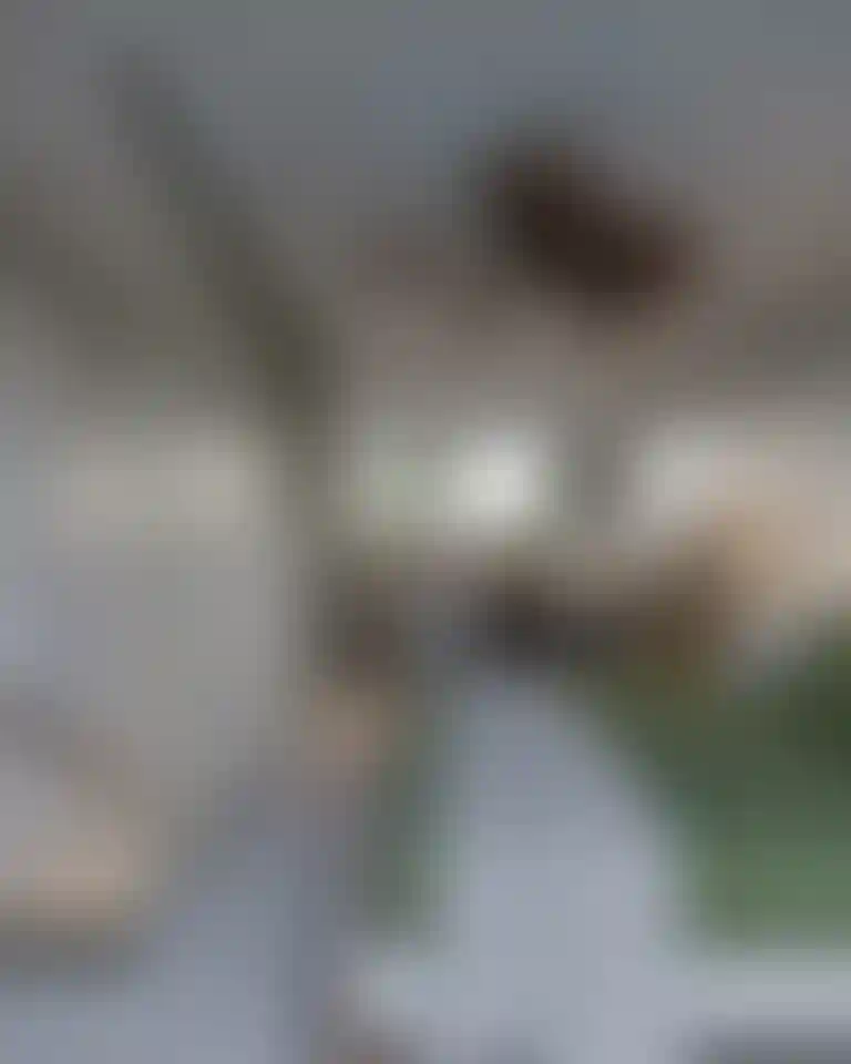 image for main block