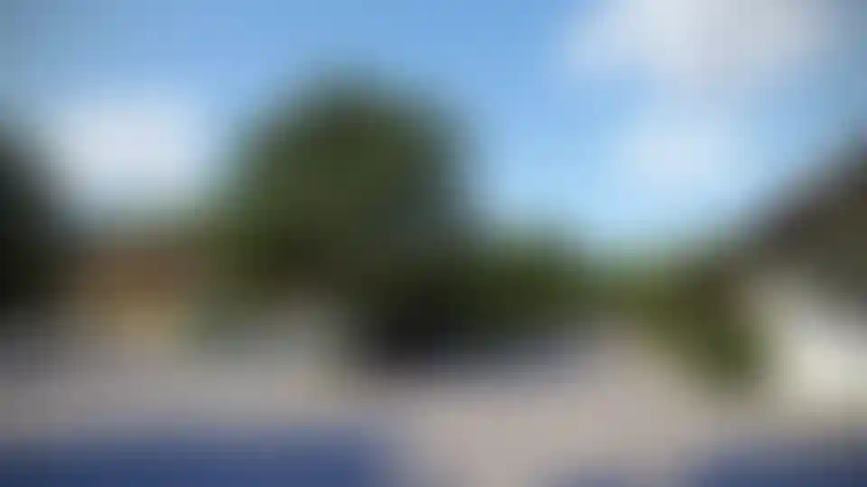 image for main block