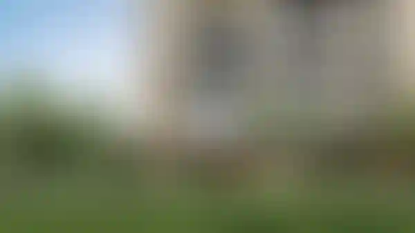 image for main block