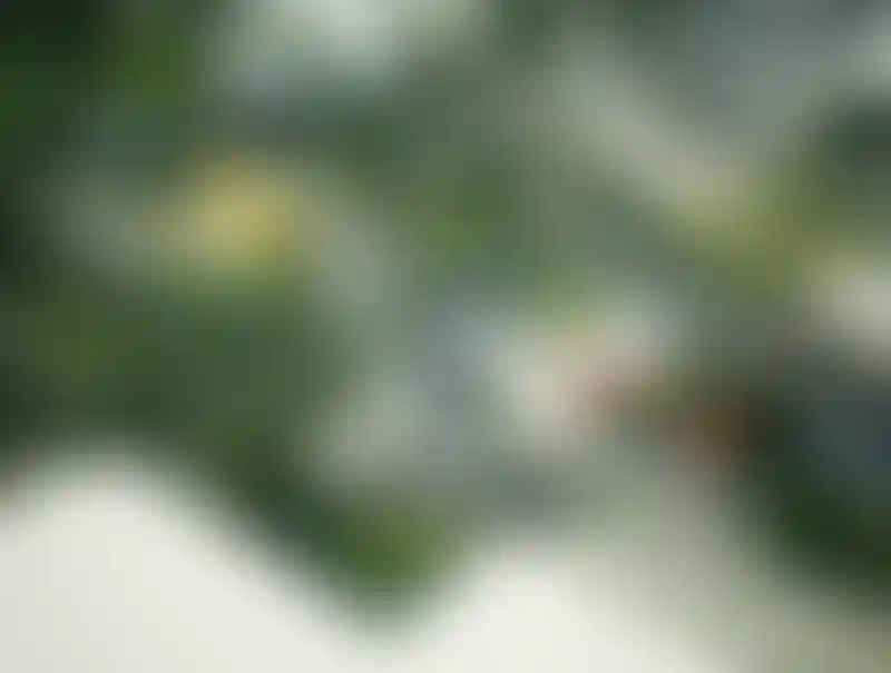 image for main block