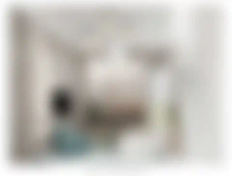 image for main block