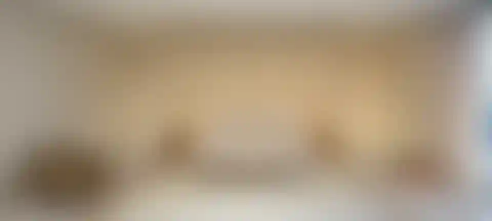 image for main block