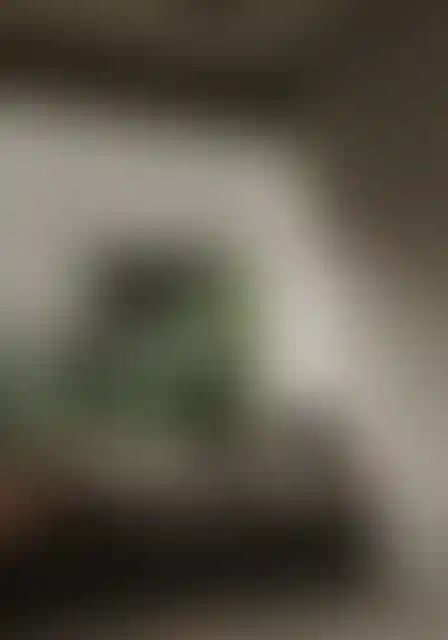 image for main block