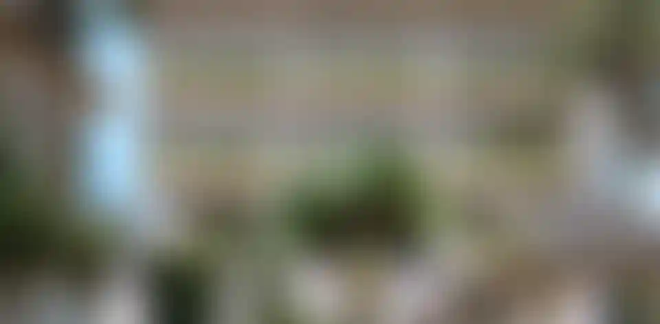 image for main block