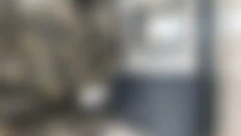 image for main block