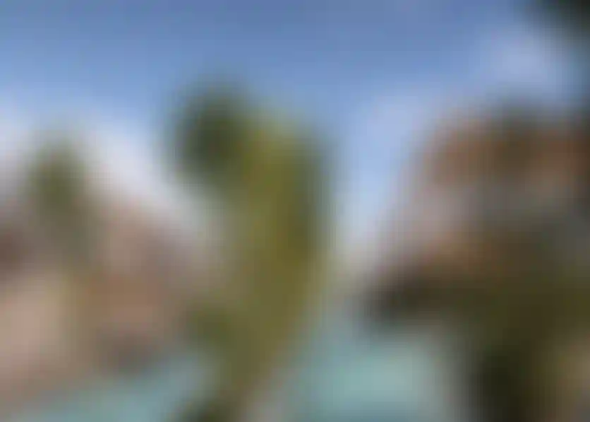 image for main block