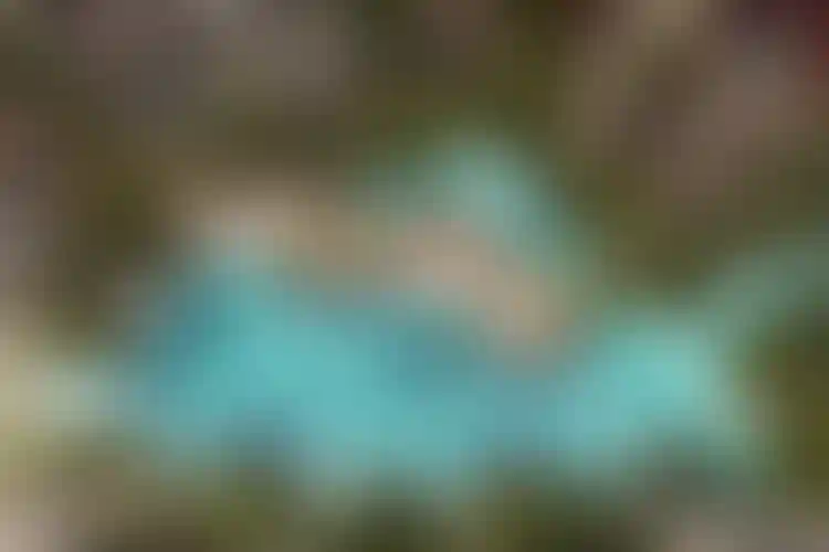 image for main block