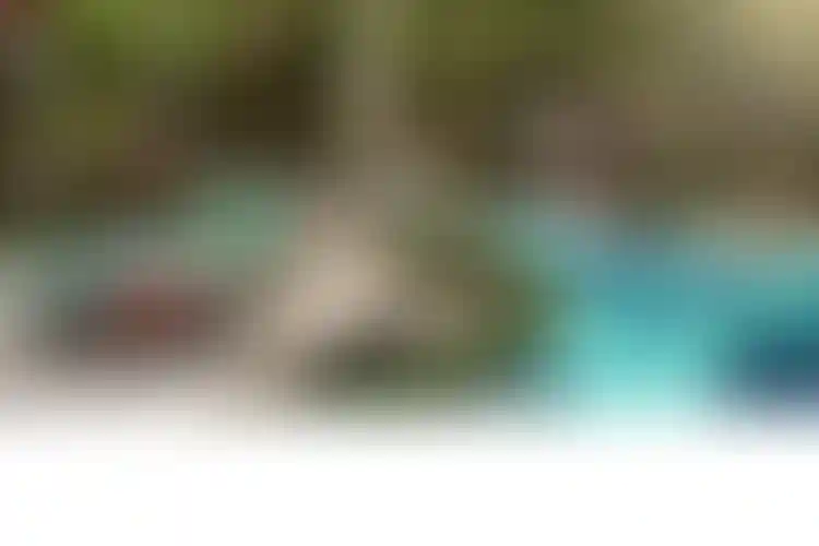 image for main block