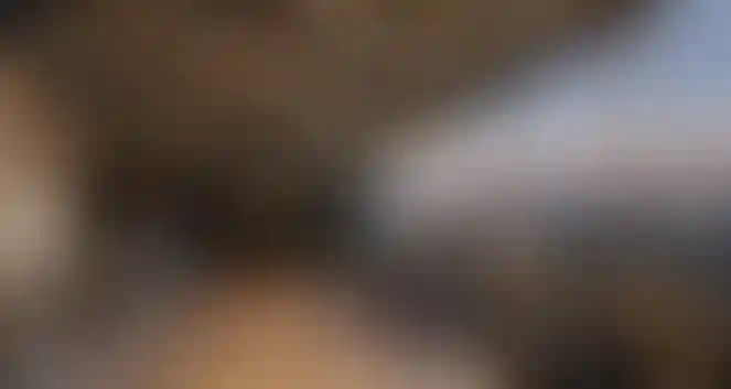 image for main block