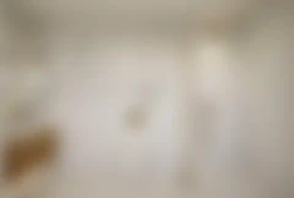 image for main block